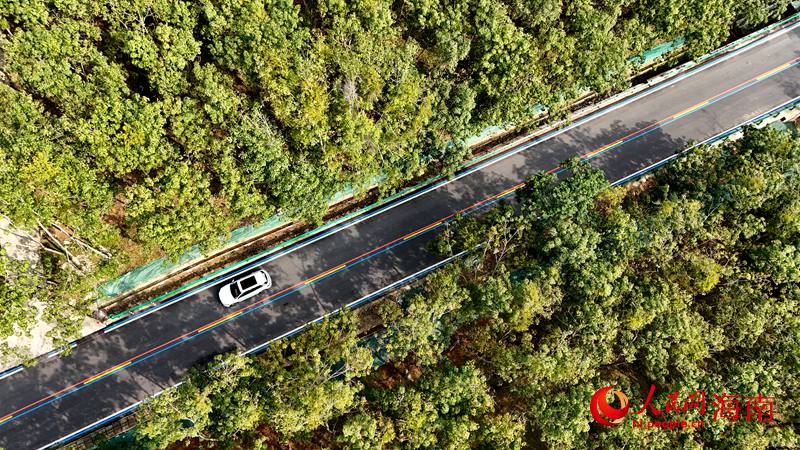 海南環(huán)熱帶雨林國家公園旅游公路。人民網(wǎng)記者 符武平攝