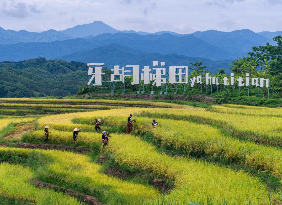 三亞經濟圈鄉村旅游主題線路途經旅游點。三亞市旅游和文化廣電體育局供圖