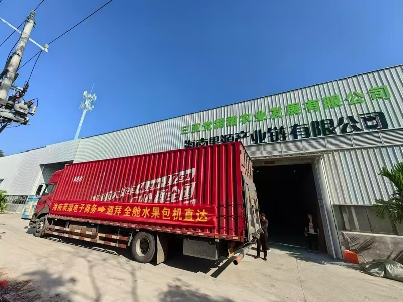 三亞特色果蔬通過(guò)包機(jī)送往迪拜。三亞市農(nóng)業(yè)農(nóng)村局供圖