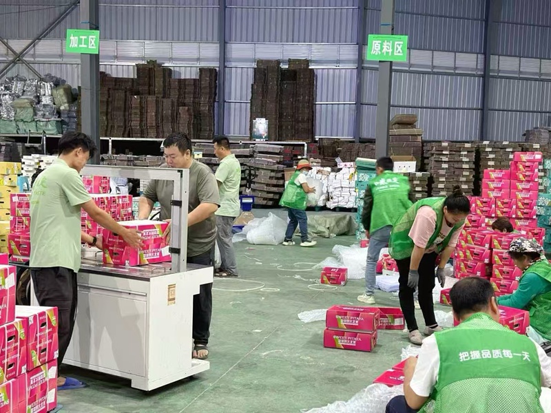 三亞特色果蔬通過(guò)包機(jī)送往迪拜。三亞市農(nóng)業(yè)農(nóng)村局供圖