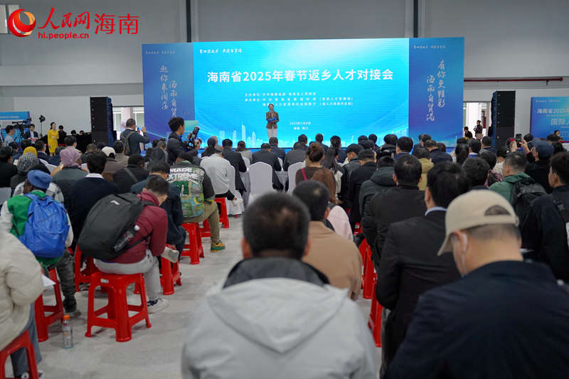 海南省2025年春節(jié)返鄉(xiāng)人才對接會現(xiàn)場。 人民網(wǎng)記者 孟凡盛攝12.JPG