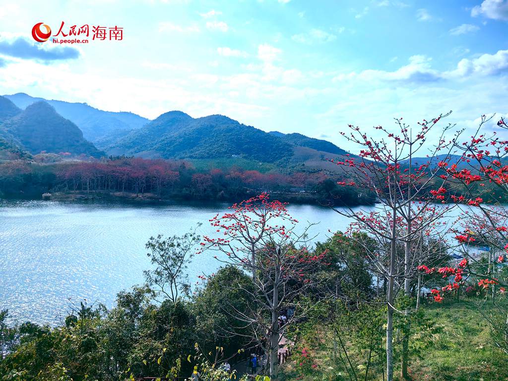 木棉花與青山、江水相得益彰，構成一幅生機盎然的秀麗畫卷。人民網 吳占桂攝