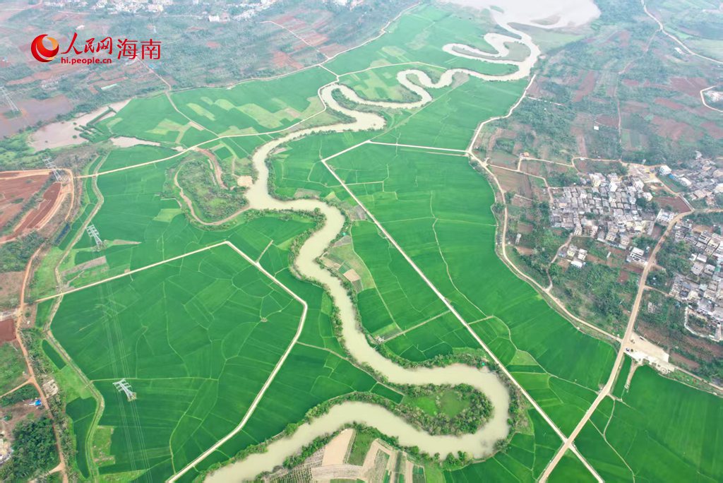從空中俯瞰，溪流河道宛如一條巨龍沉睡在翠綠的地毯上。人民網 吳占桂攝