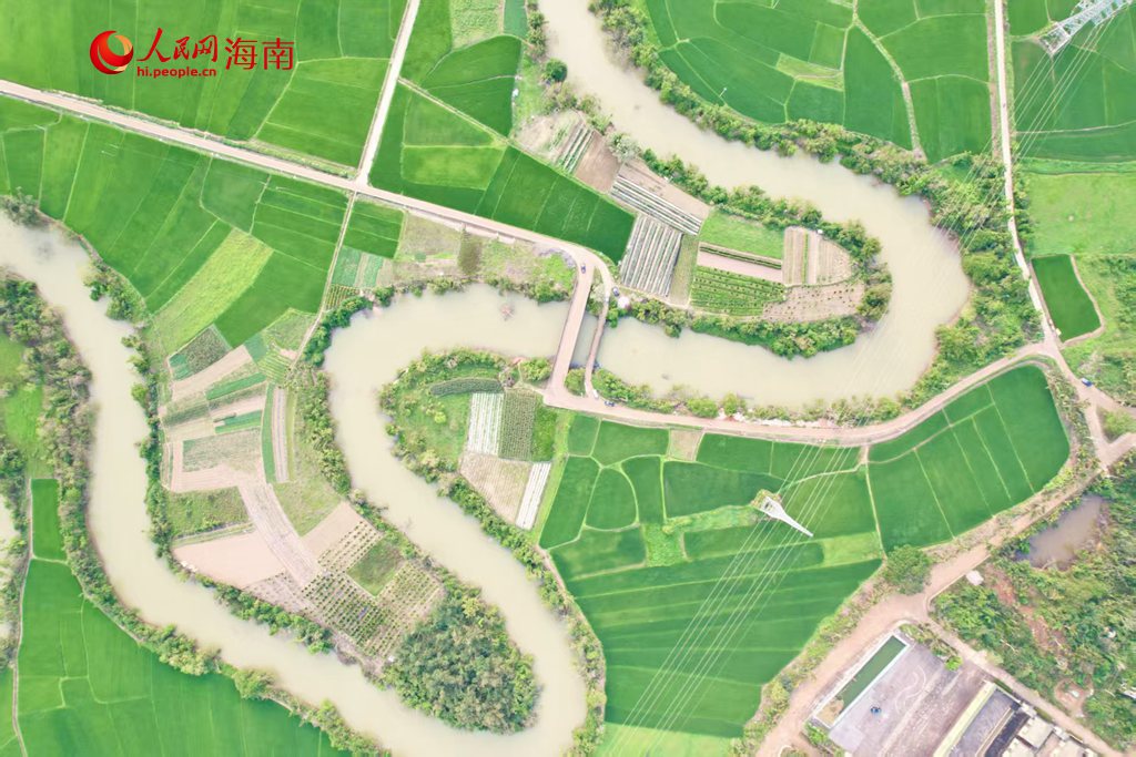 兩岸稻田與蜿蜒曲折的河道交織成一幅秀美的春日畫卷。人民網(wǎng) 吳占桂攝