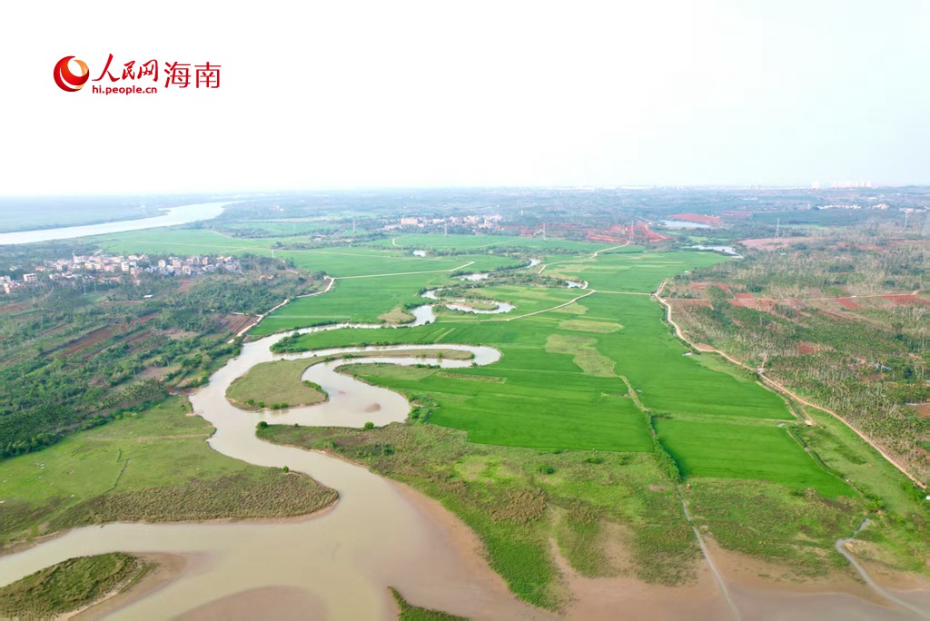 三十六曲溪滋潤了周邊廣闊的農田，形成了壯觀的農田景觀。人民網 吳占桂攝