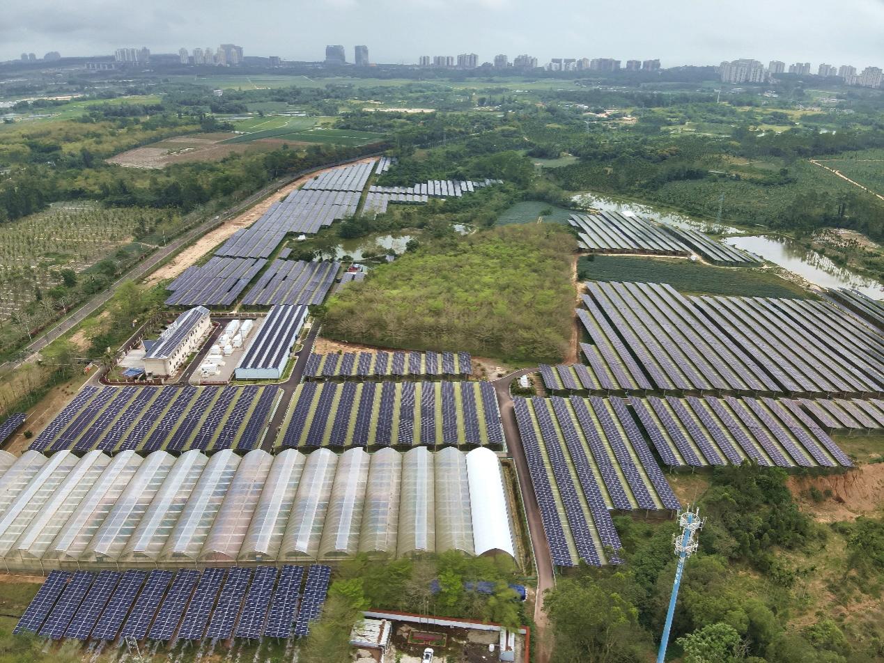 瓊海博鰲農(nóng)光互補(bǔ)基地。宋印官攝