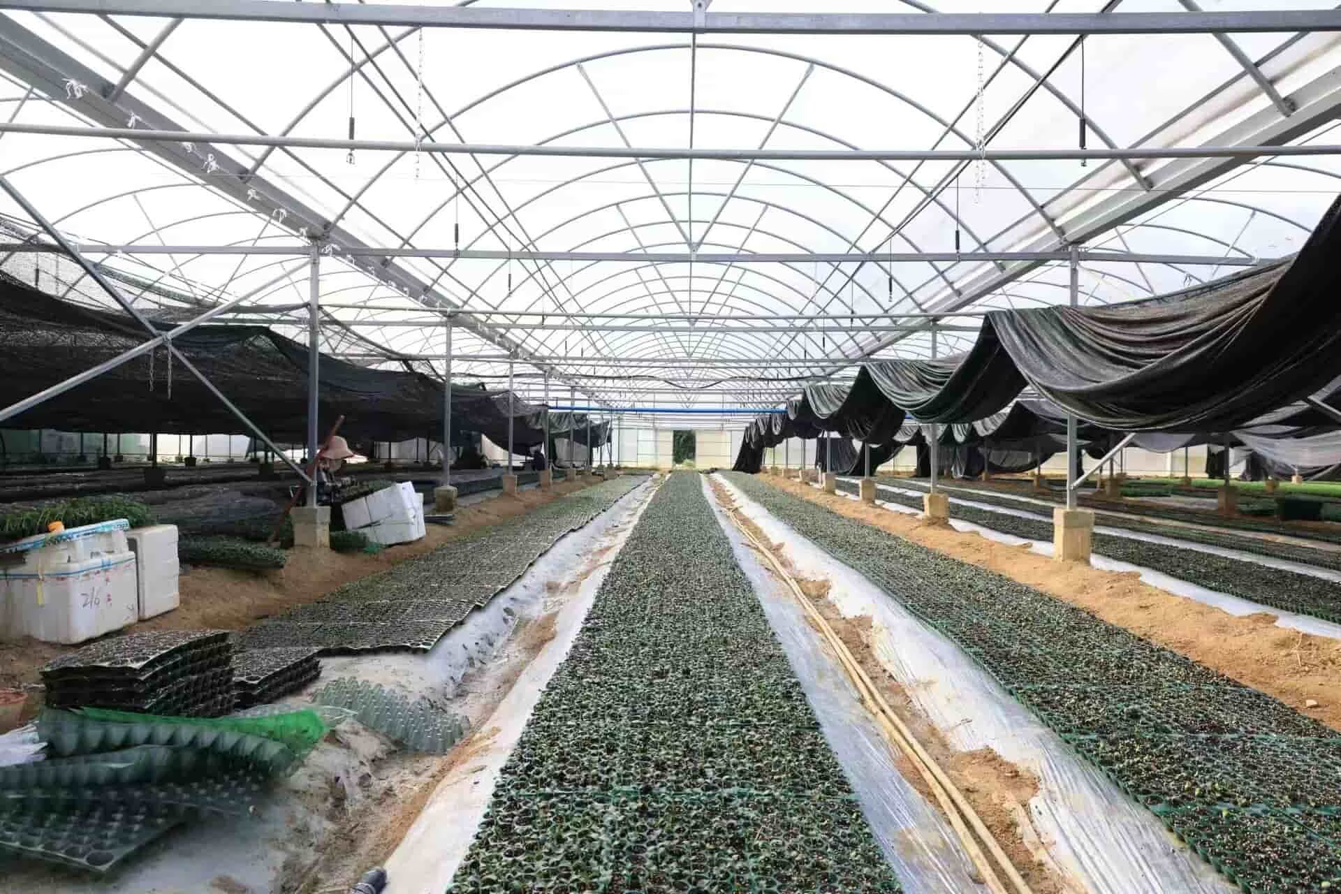 育才生態區那受村的蔬菜大棚。三亞市農業農村局供圖