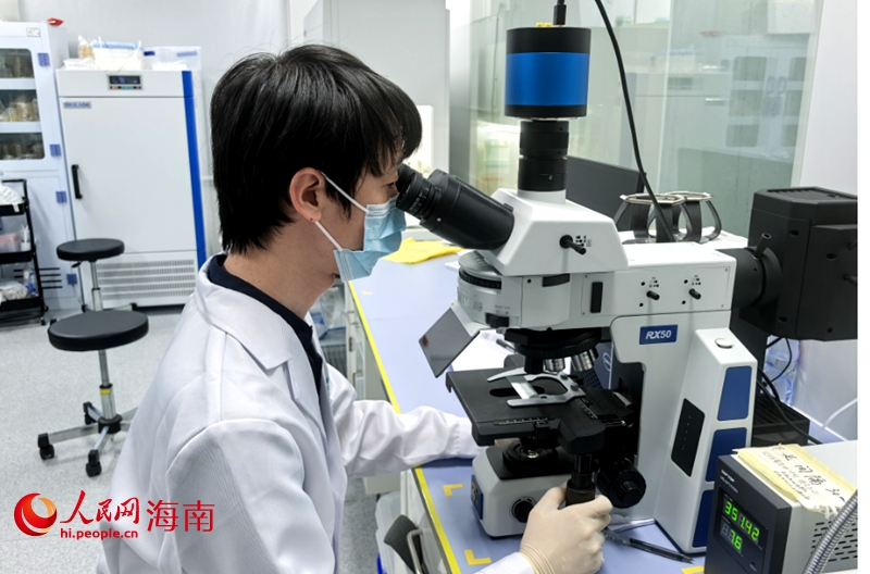 華大生命科學(xué)研究院實(shí)驗(yàn)研發(fā)高級(jí)工程師韓默在研究深海微生物。人民網(wǎng)記者 毛雷攝