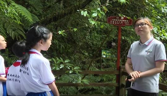 五指山：構(gòu)建人與自然和諧共生的生命共同體繪就“共生畫卷”