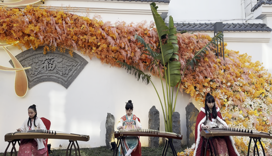 元宵節(jié)禁燃煙花爆竹宣傳活動