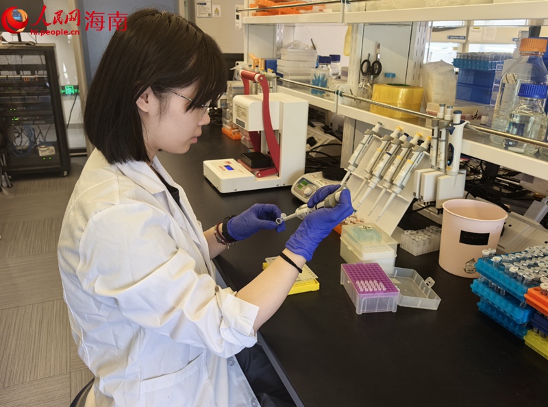 三亞崖州灣科技城，未米生物科研人員在做實驗。人民網記者 毛雷攝